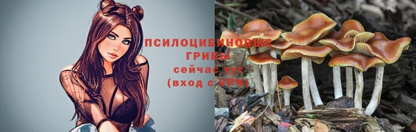 apvp Алексеевка