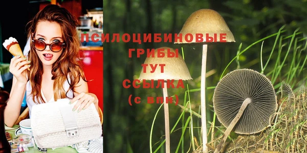 apvp Алексеевка