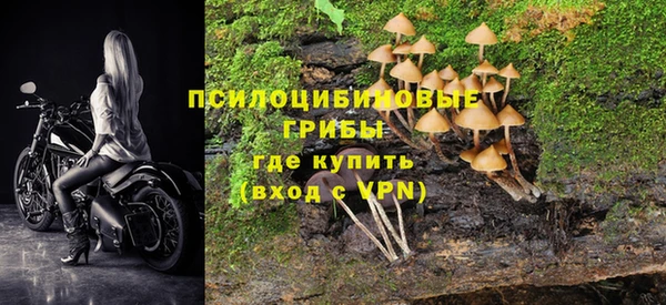 прущая мука Алзамай